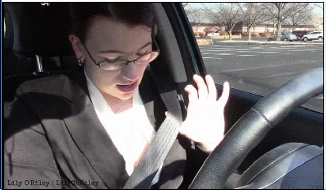 Seatbelt Sensual